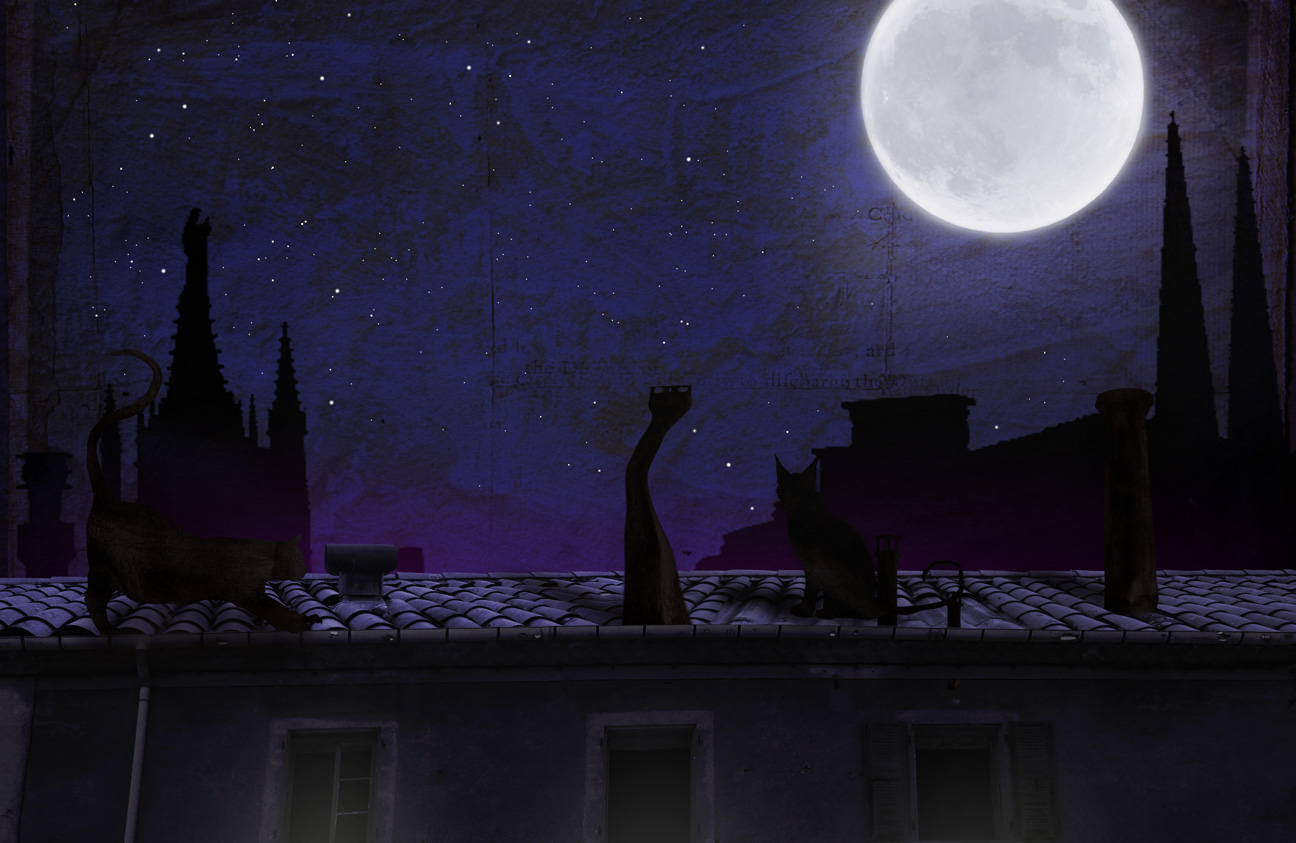 Illustration jeunesse Moonshadow